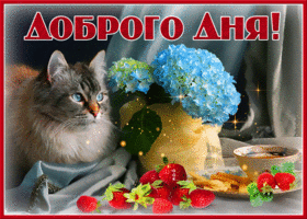 Картинка открытка добрый день с кошкой