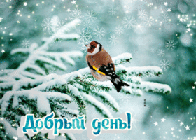 Открытка открытка добрый день со снегом