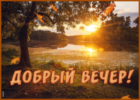 Картинка открытка добрый вечер осенние листья