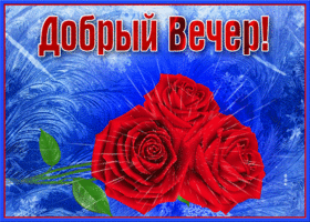 Картинка открытка добрый вечер с розами