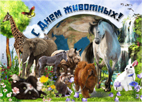 Открытка открытка гиф с днем животных