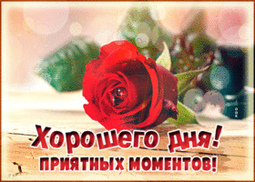 Открытка открытка хорошего дня с розой