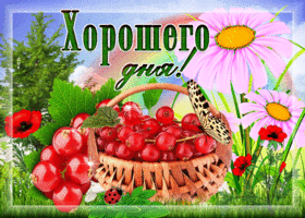Открытка открытка хорошего дня с ягодами