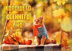 Открытка открытка хорошего осеннего дня с котом