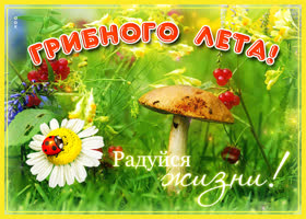 Картинка открытка лето с надписью