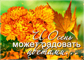 Картинка открытка осень может радовать цветами