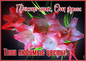 Картинка открытка от души твои любимые цветы