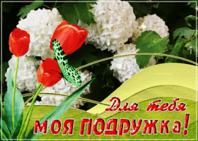 Открытка открытка подруге с тюльпанами