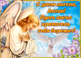 Открытка открытка поздравление с днем ангела антон