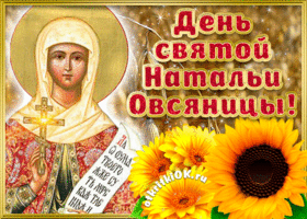 Картинка открытка поздравление с днём святой натальи овсяницы
