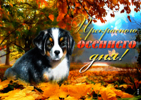 Открытка открытка прекрасного осеннего дня с собачкой