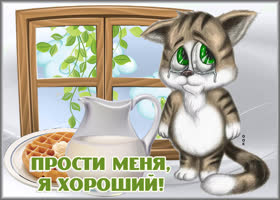 Открытка открытка прости с котиком