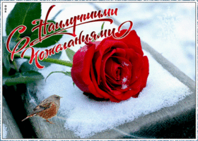 Картинка открытка роза с пожеланиями