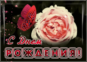 Открытка открытка с днем рождения женщине с розой и бабочкой