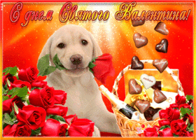 Картинка открытка с днем святого валентина с собачкой