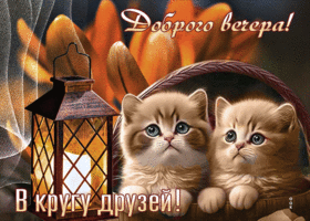 Postcard открытка с котятами доброго вечера в кругу друзей!