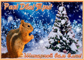 Картинка открытка с новым годом елочка гори