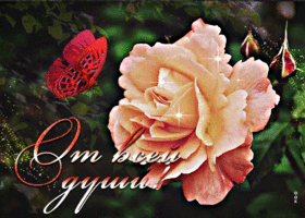 Открытка открытка с розой от всей души
