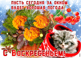 Картинка открытка с воскресеньем с котиком