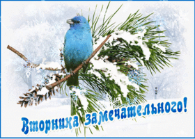Открытка открытка с зимним вторником