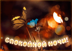 Картинка открытка спокойной ночи с бабочкой