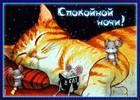 Картинка открытка спокойной ночи с кошкой и мышками