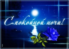 Открытка открытка спокойной ночи с синей розой