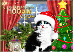 Открытка открытка старый новый год с котиком