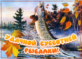 Открытка открытка удачной рыбалки