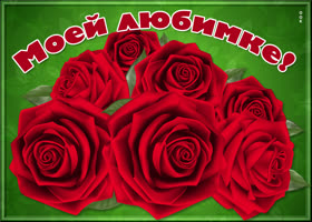 Открытка открытка великолепные розы