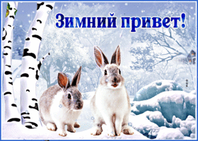 Открытка открытка зимний привет с зайчиками