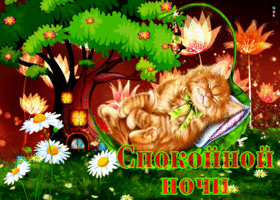 Картинка отличная открытка спокойной ночи с котиком