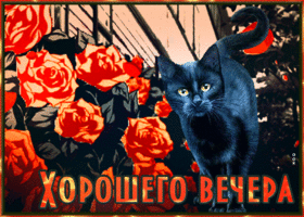 Postcard отличная открытка с черной кошкой хорошего вечера