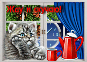 Postcard отличная открытка с котенком у окна жду и скучаю!