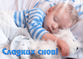 Postcard отличная открытка с мальчиком и собачкой сладких снов