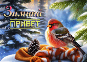 Postcard оживленная анимационная открытка зимний привет