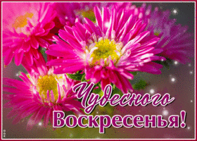 Postcard поразительная открытка чудесного воскресенья! с цветами