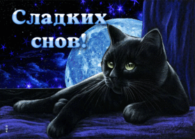 Picture поразительная открытка с черным котом сладких снов