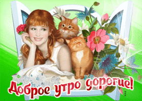 Picture поразительная открытка с девушкой и котами доброе утро, дорогие