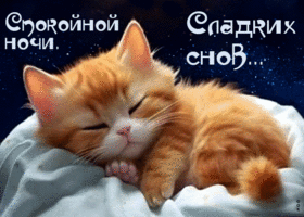 Postcard прекрасная анимационная открытка спокойной ночи! сладких снов