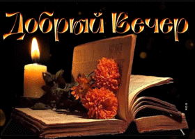 Postcard прекрасная открытка добрый вечер! с книгой и розами