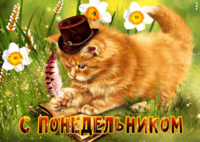 Открытка прекрасная открытка с котиком с понедельником