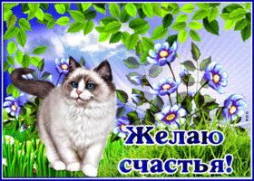 Picture прекрасная открытка с котиком желаю счастья!