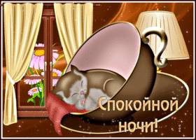 Picture прекрасная открытка с котом в чашке спокойной ночи