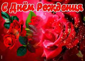 Открытка прекрасная открытка с розами в день рождения