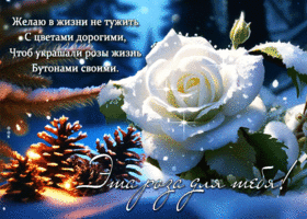 Picture прекрасно-стилизованная открытка эта роза для тебя