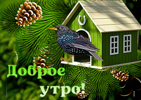 Postcard прелестная открытка с птичкой в домике  доброе утро!