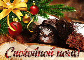 Postcard прелестная открытка спокойной ночи! с милым котом