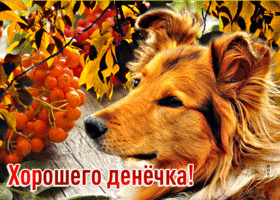 Postcard превосходная открытка с собакой хорошего денечка