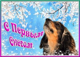 Открытка прикольная открытка с первым снегом